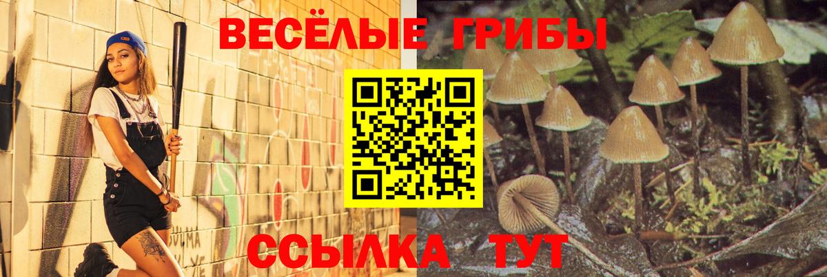 Малгобек  Псилоцибиновые грибы мицелий  Вход с VPN 